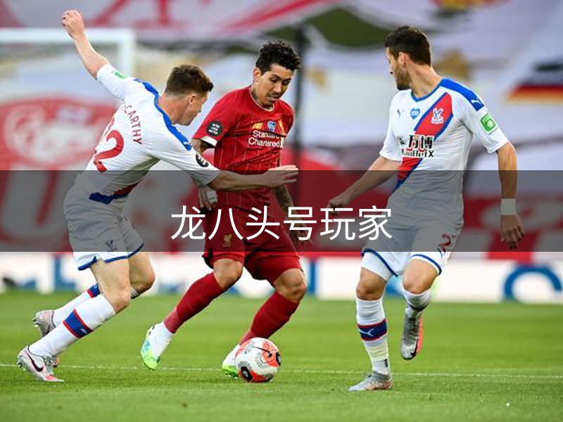 龙八头号玩家介绍